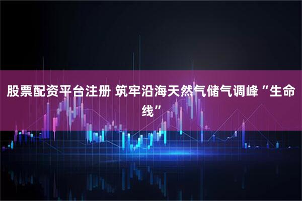 股票配资平台注册 筑牢沿海天然气储气调峰“生命线”