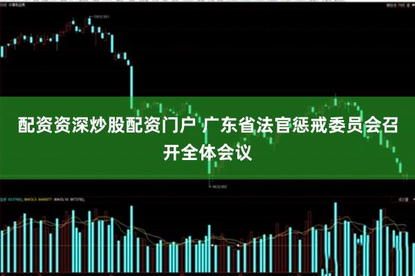 配资资深炒股配资门户 广东省法官惩戒委员会召开全体会议